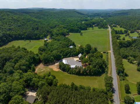 3860 HIGHWAY 174 SPRINGVILLE AL 35146