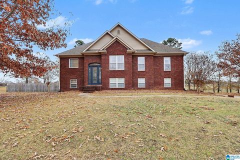 55 COUNTY ROAD 1060 CLANTON AL 35045