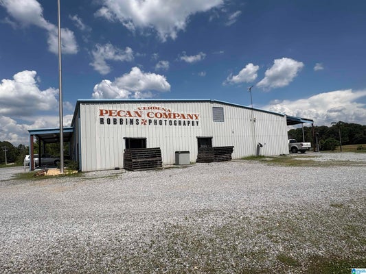 33600 AL HIGHWAY 22, VERBENA, AL 36091 - Image 6f176d3c7dee41a4680d5a6fba2b6be7/283347343