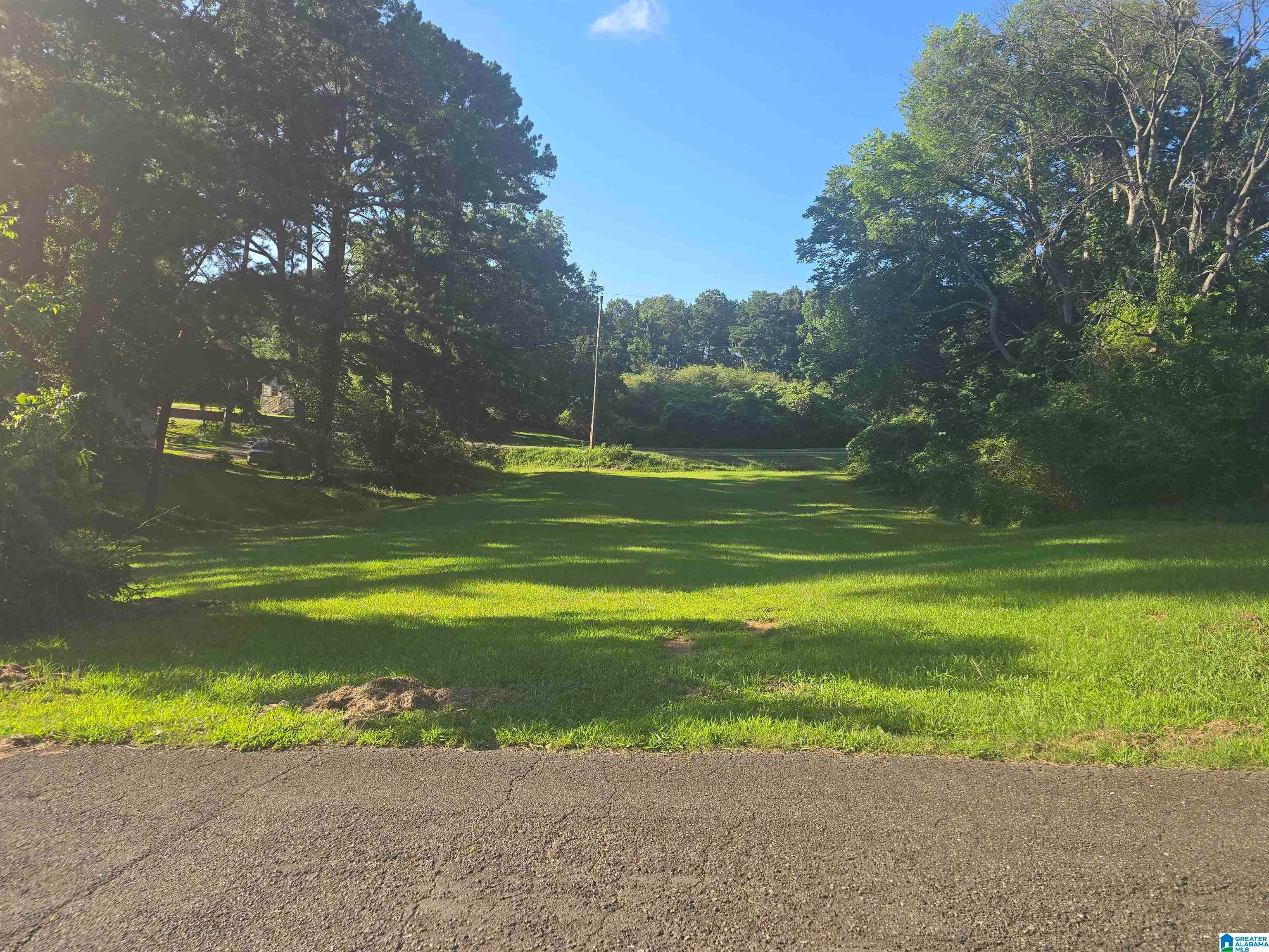 Photo 1 of 3 — 125 MCNEAR STREET 1/7, HUEYTOWN, AL 35023