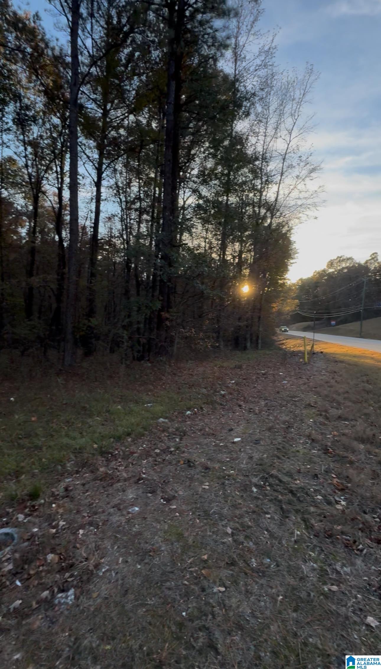 10000 HIGHWAY 216 10000