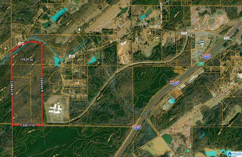 10000 HIGHWAY 216 10000 MCCALLA AL 35111