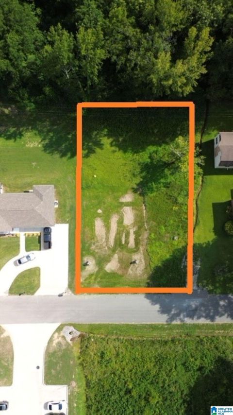 0 MILLER STREET 0 CULLMAN AL 35055