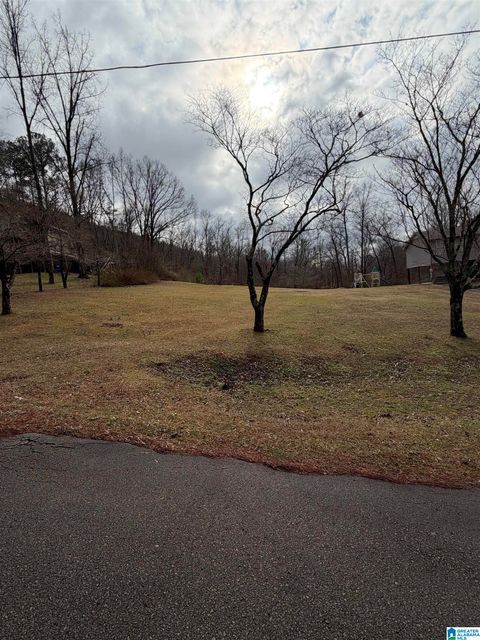 363 OAK RIDGE DRIVE 1 ONEONTA AL 35121