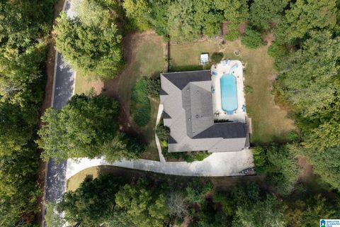 Photo of 1020 Stagg Run Trail, INDIAN SPRINGS VILLAGE, AL 35124 (MLS # 21448692)