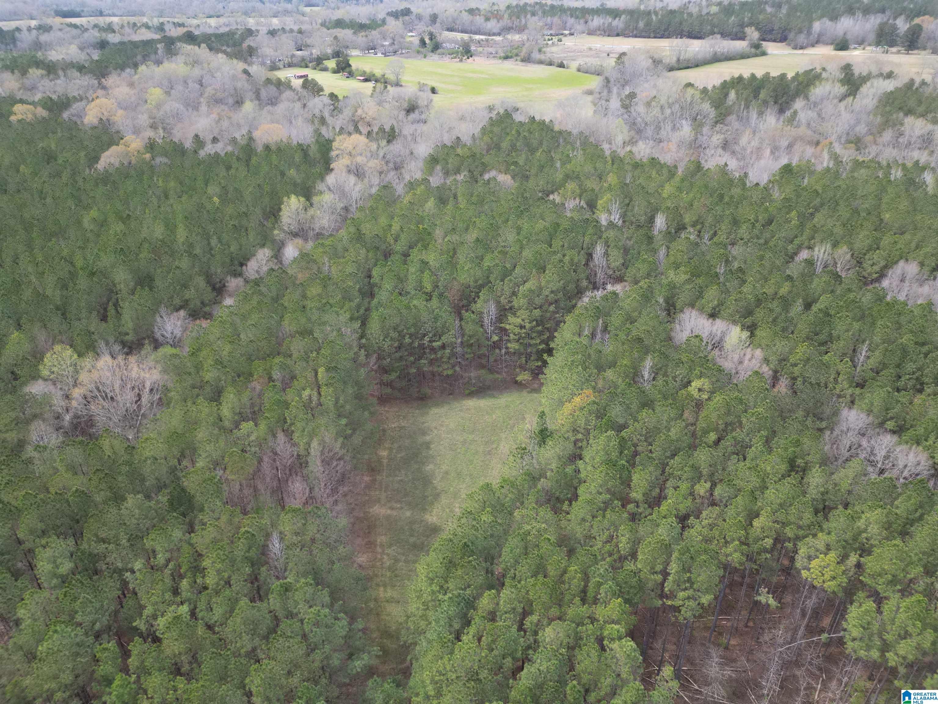 9380 COUNTY ROAD 15 1