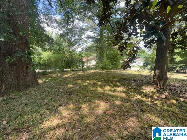 148 WILLOW LANE