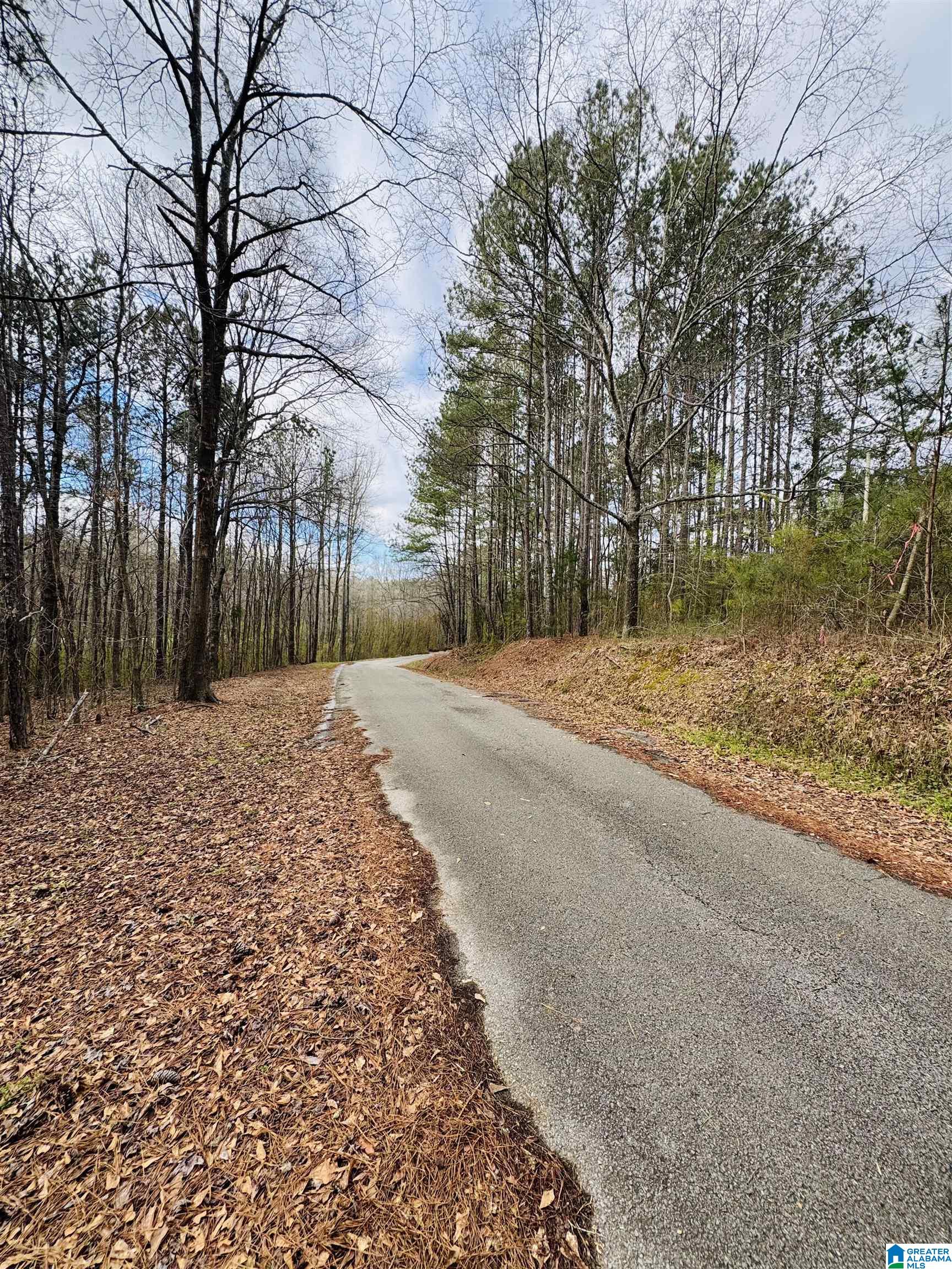 Photo 1 of 6 — 10 MOUNTAIN CREST ROAD 1, CHELSEA, AL 35043