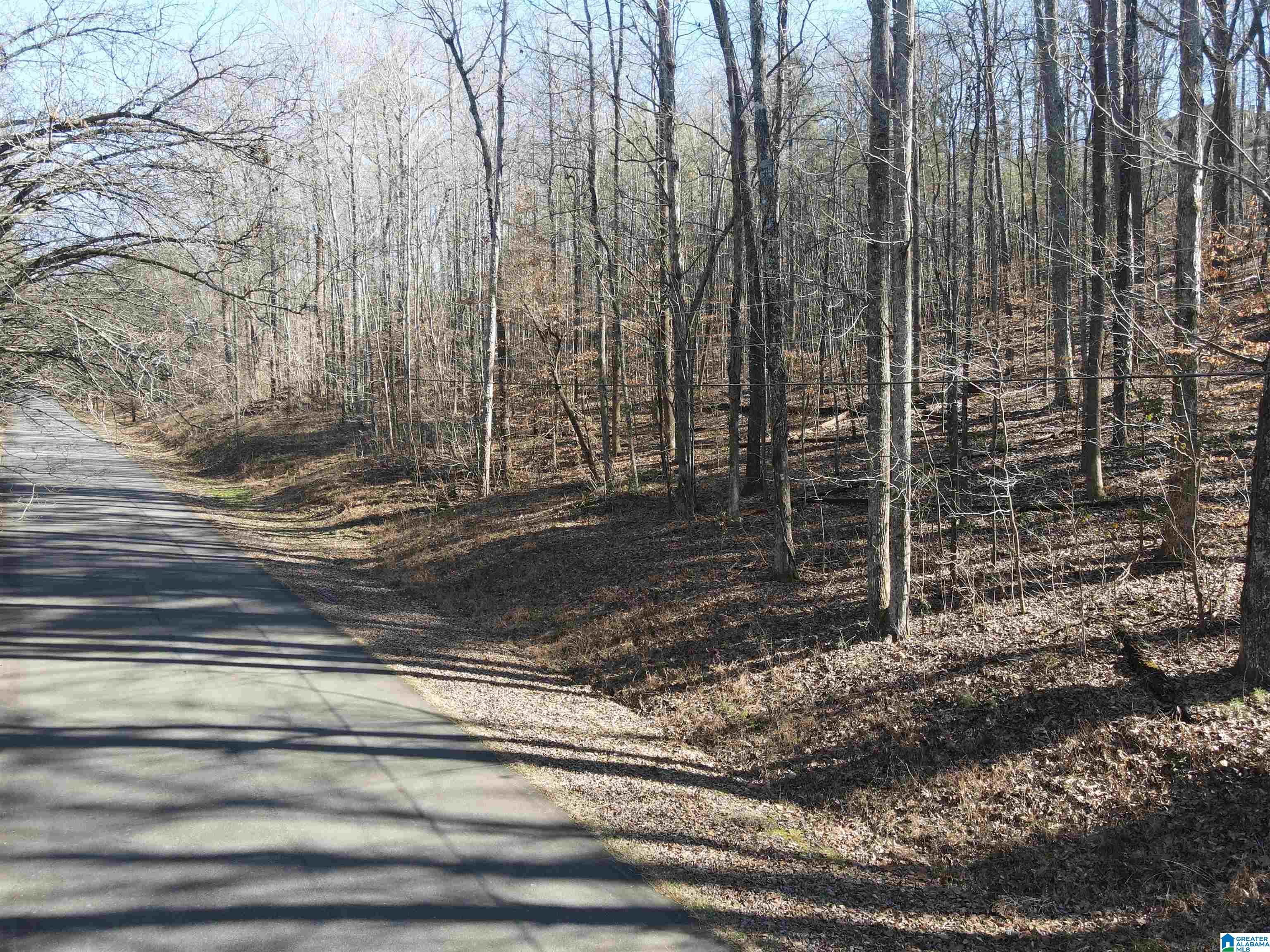 7613 COTTONRIDGE ROAD 19