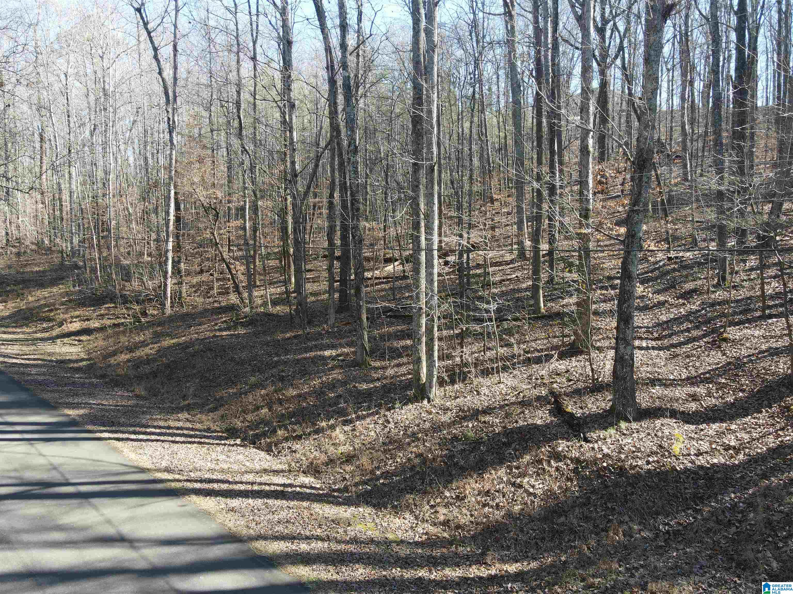 7613 COTTONRIDGE ROAD 19