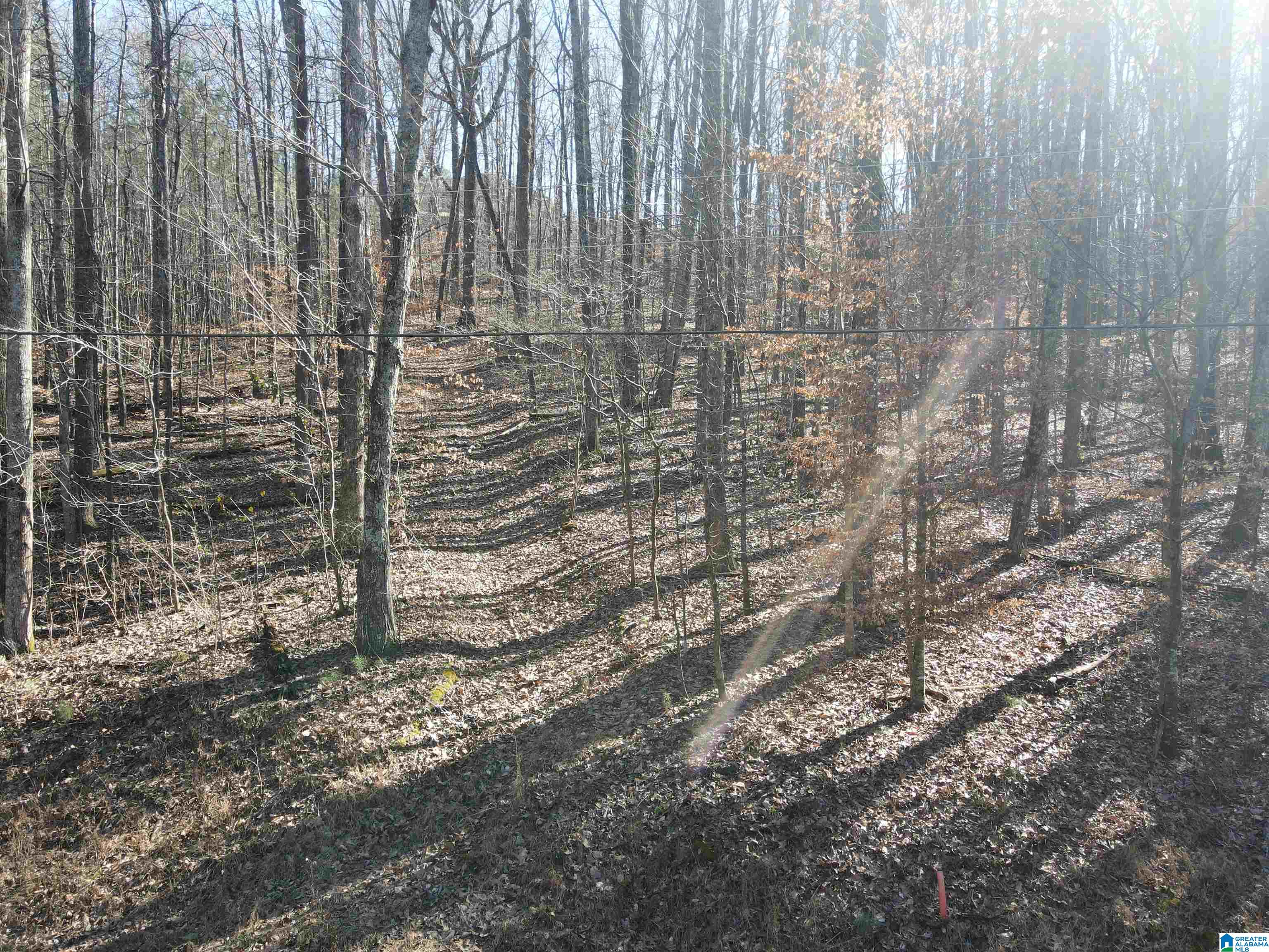 7613 COTTONRIDGE ROAD 19