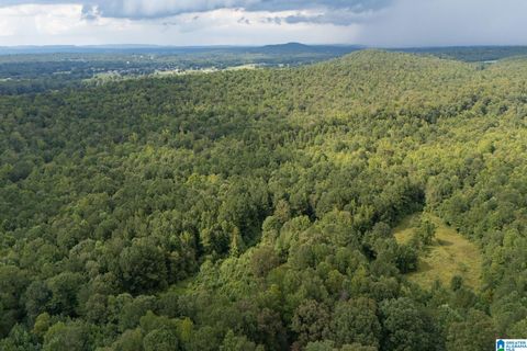 4255 KELLY CREEK ROAD 0 ODENVILLE AL 35120