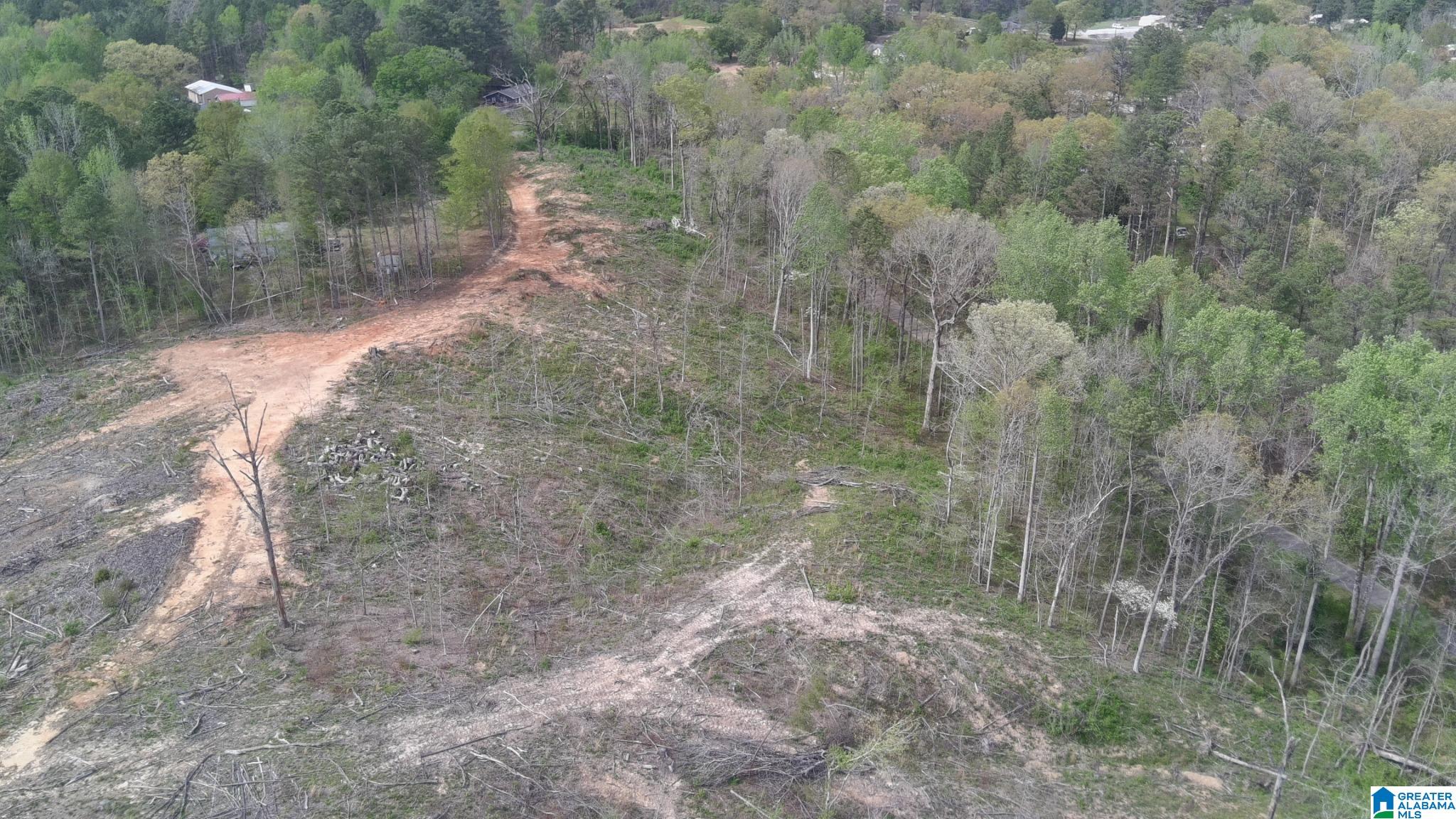 12 SELLERS HOLLOW ROAD 12