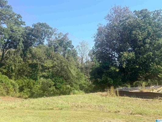 1154 ARDEN PL # 1B, VESTAVIA, AL 35243 - Image 71daa09f8dd44cc60031b0e2273fbf06/2296554397