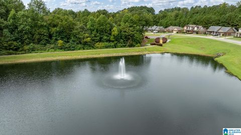 451 CHESSER PLANTATION LANE CHELSEA AL 35043