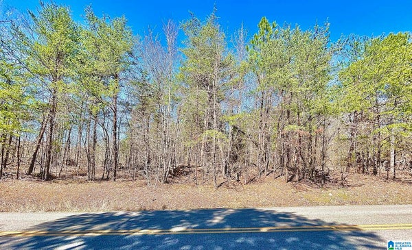 1786 WARRIOR TRAFFORD RD # 0, WARRIOR, AL 35180 - Image 71f2b4acebe0a0dc2a78956f17adacb2/644376895