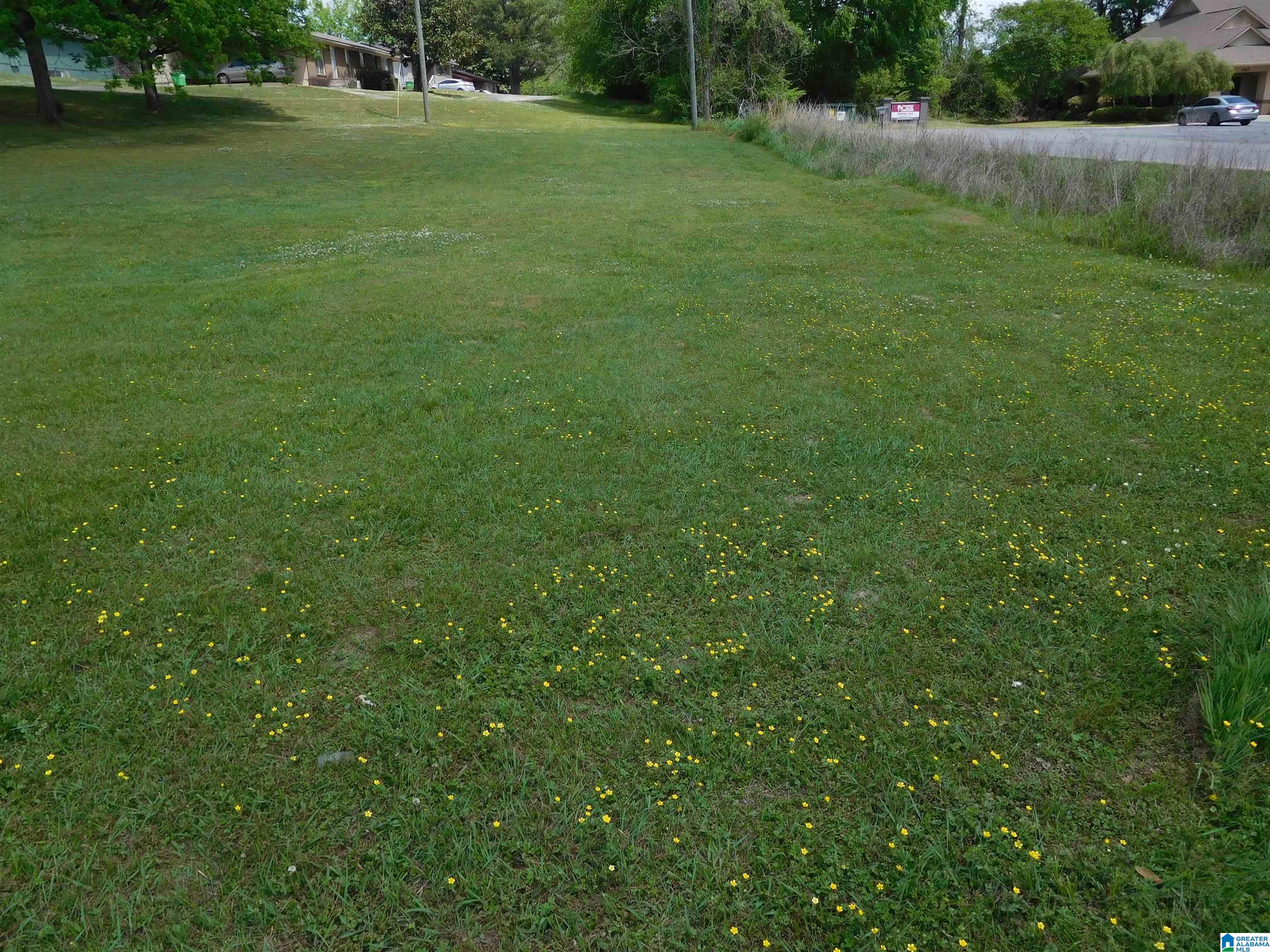 0000 US HIGHWAY 11 1