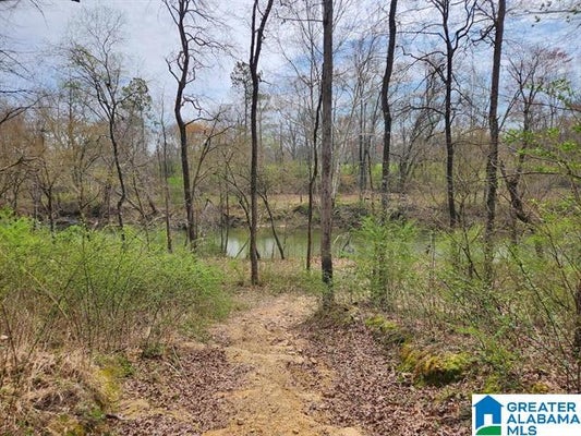 164 SHERWOOD DR, ALTOONA, AL 35952 - Image 7309b2ebea8fd47ff84eec01c4e25941/2472458544