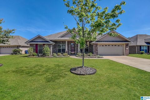 313 GOLDEN MEADOWS PLACE ALABASTER AL 35007