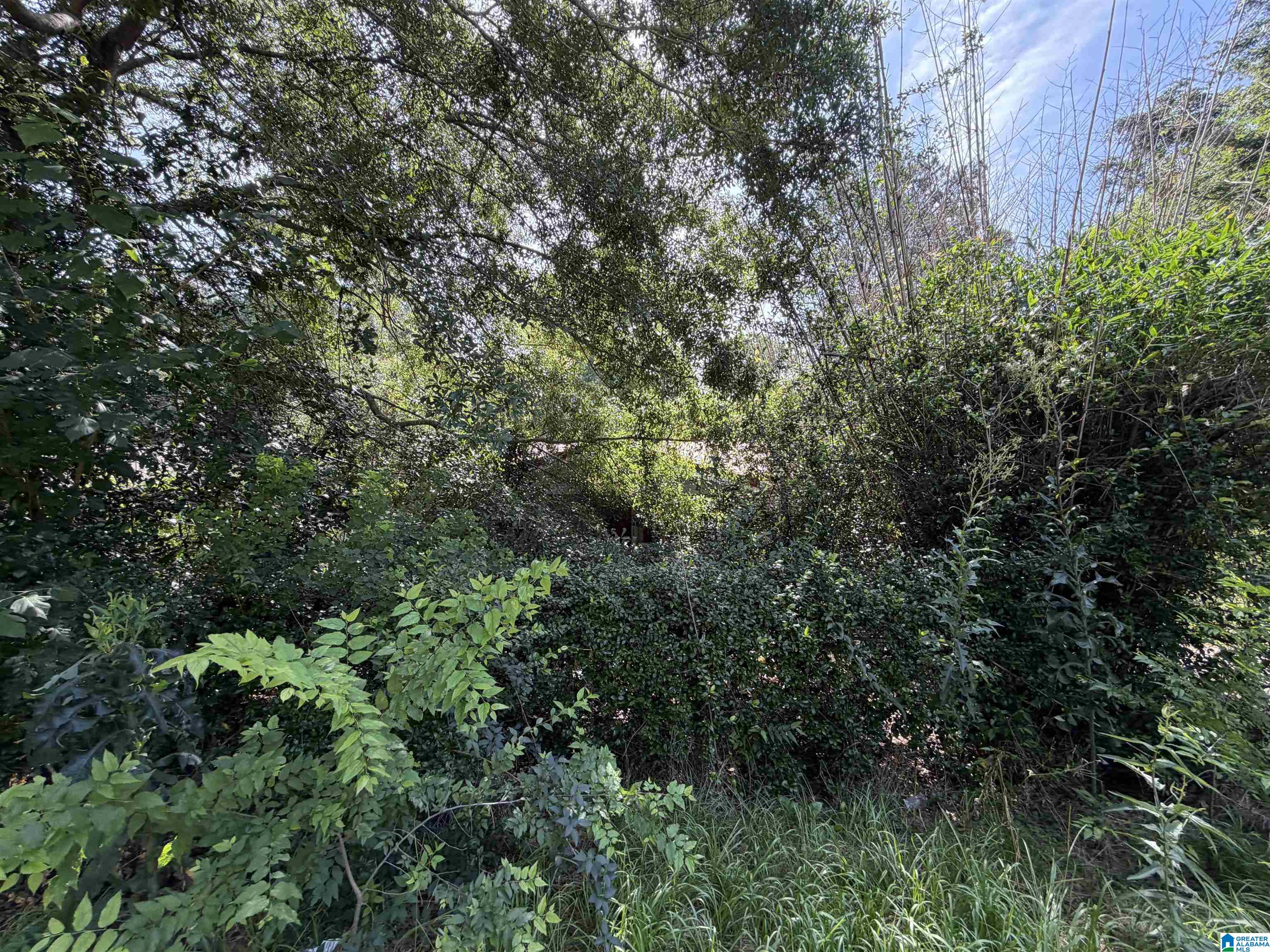 500 OPP AVENUE - Photo 2
