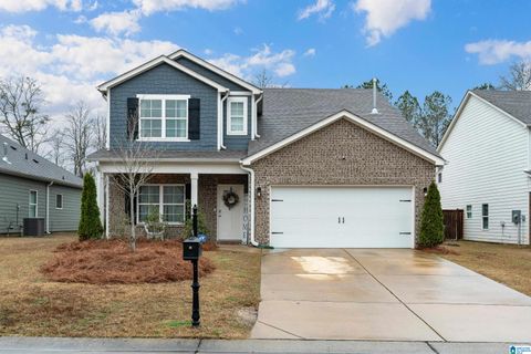 2095 PARK SPRINGS LANE CHELSEA AL 35043