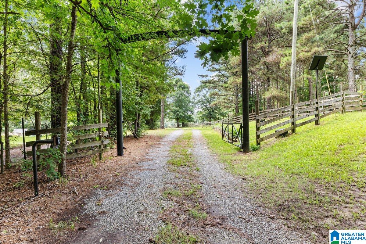 2040 BUD MOUNTAIN ROAD