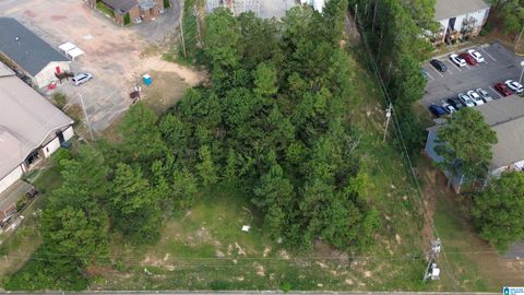 1090 MEDICAL CENTER DRIVE LOT A BESSEMER AL 35020