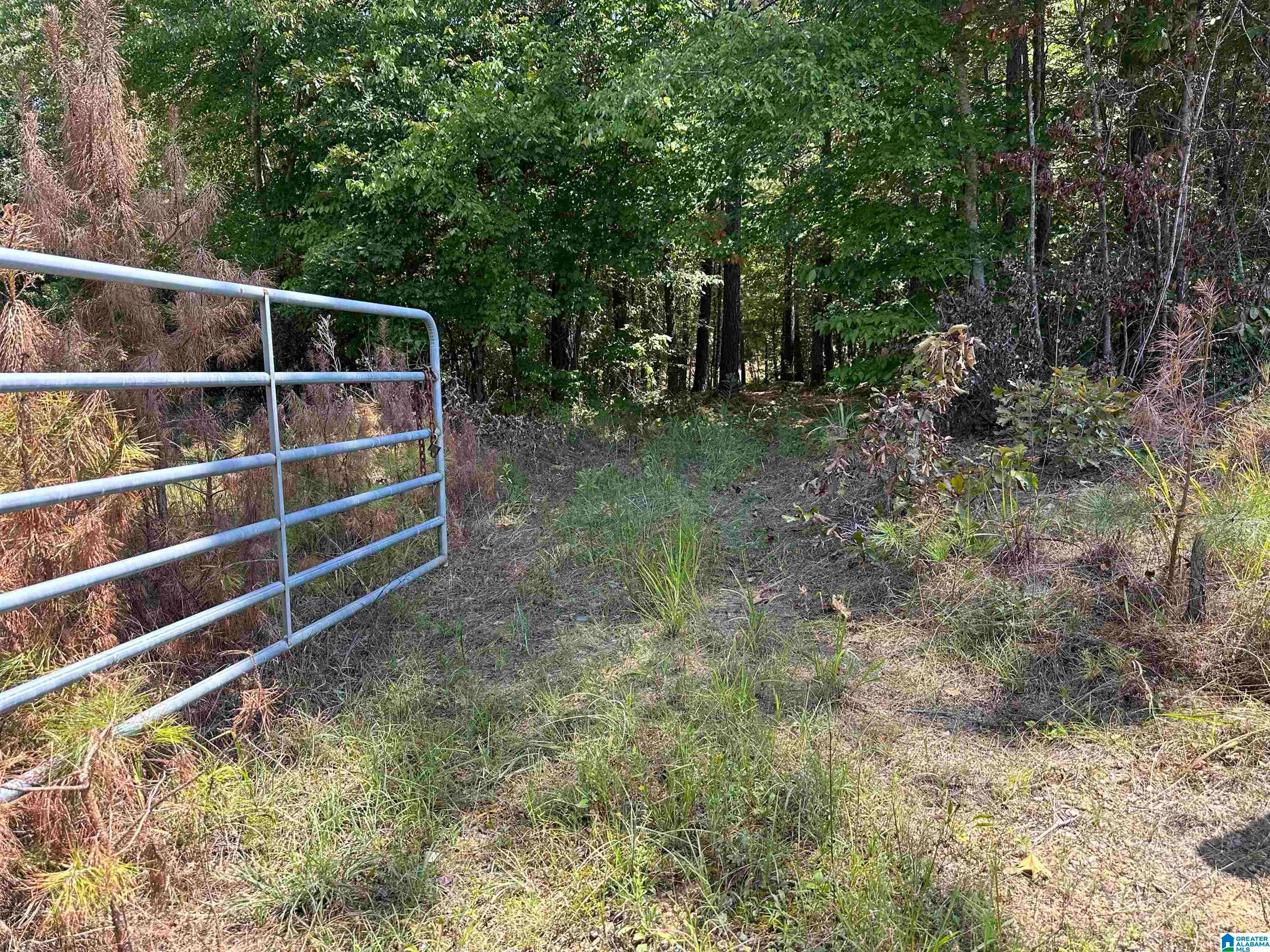 0 COUNTY ROAD 46 1