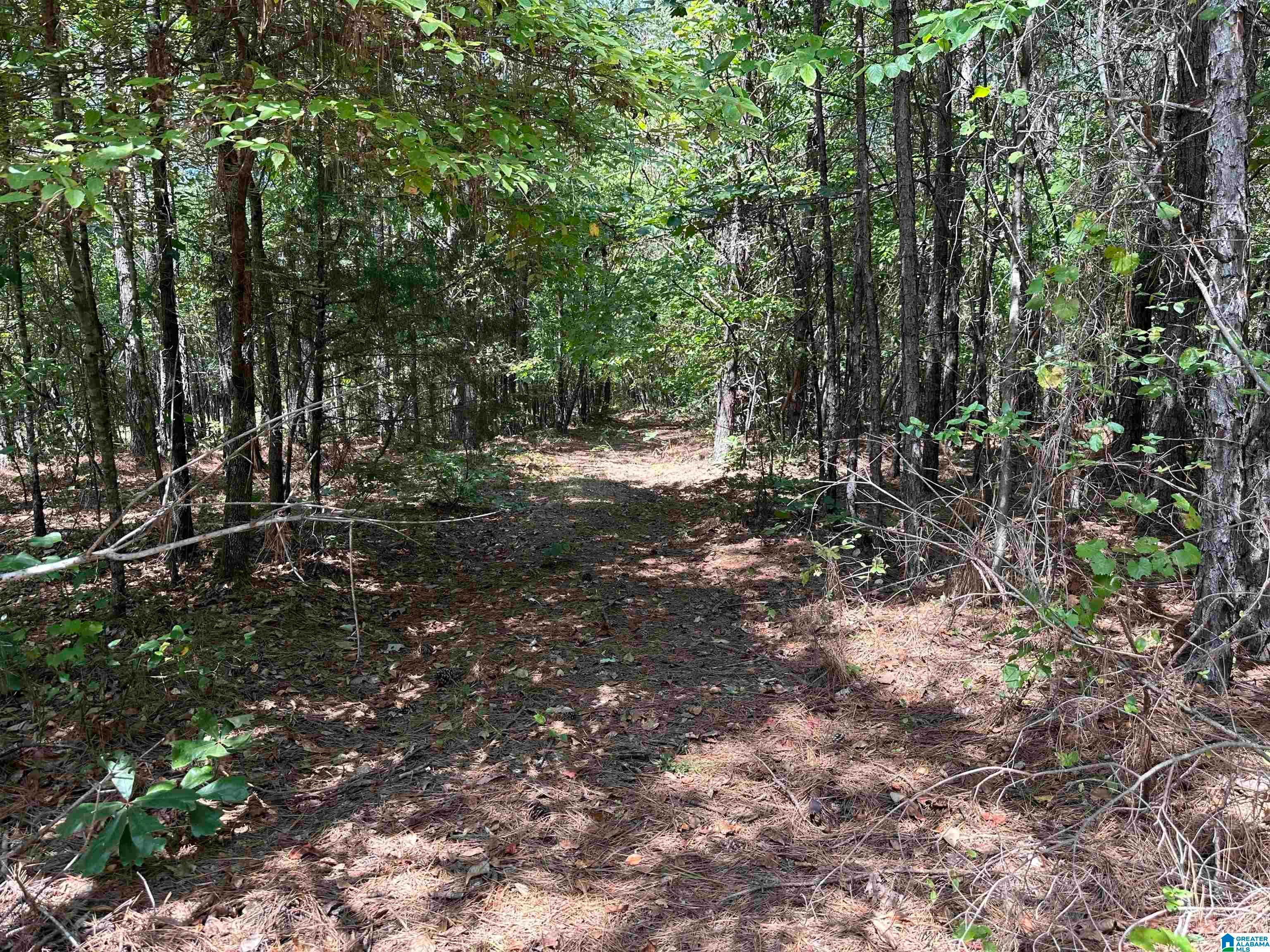 0 COUNTY ROAD 46 1