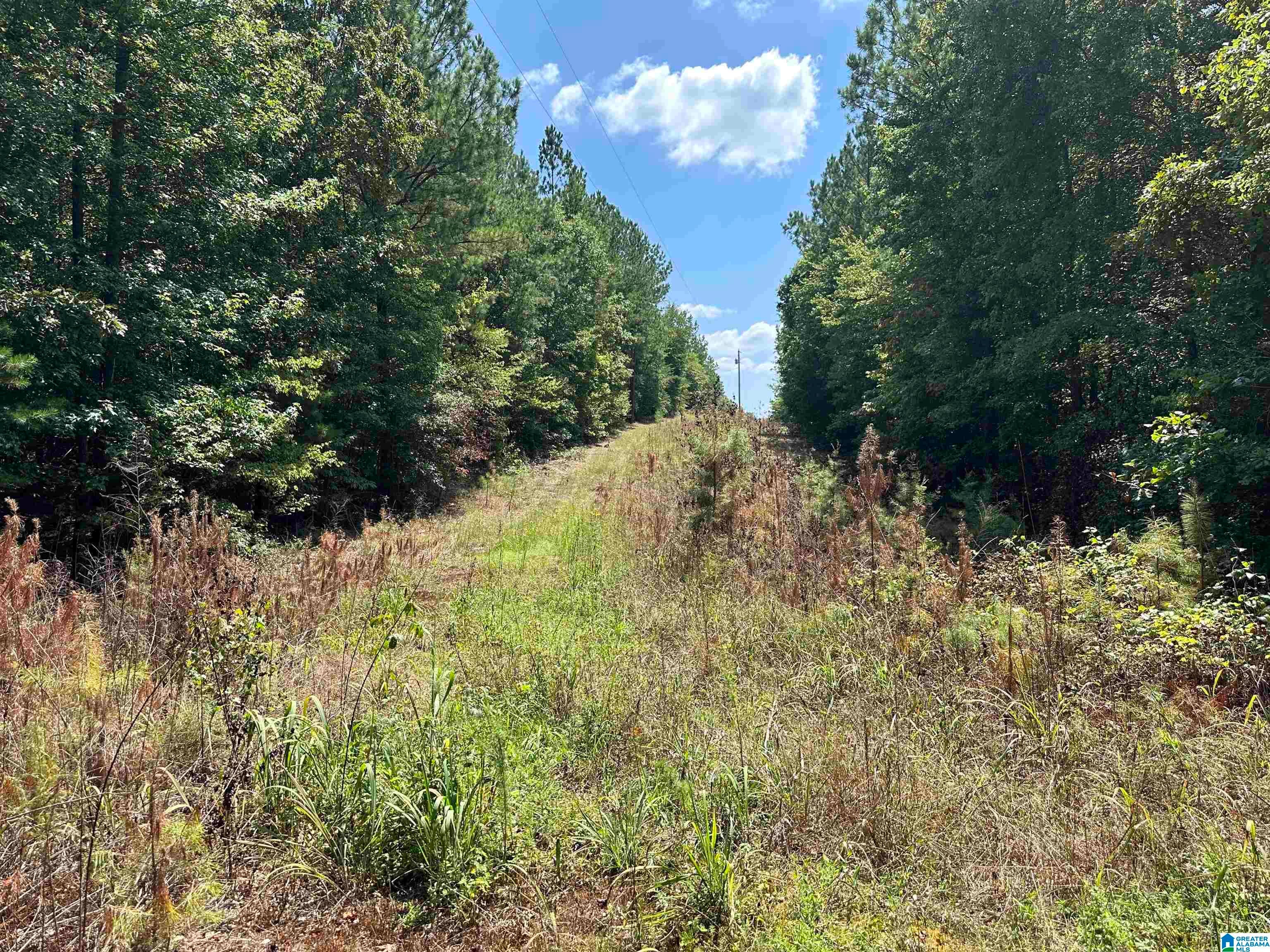 0 COUNTY ROAD 46 1
