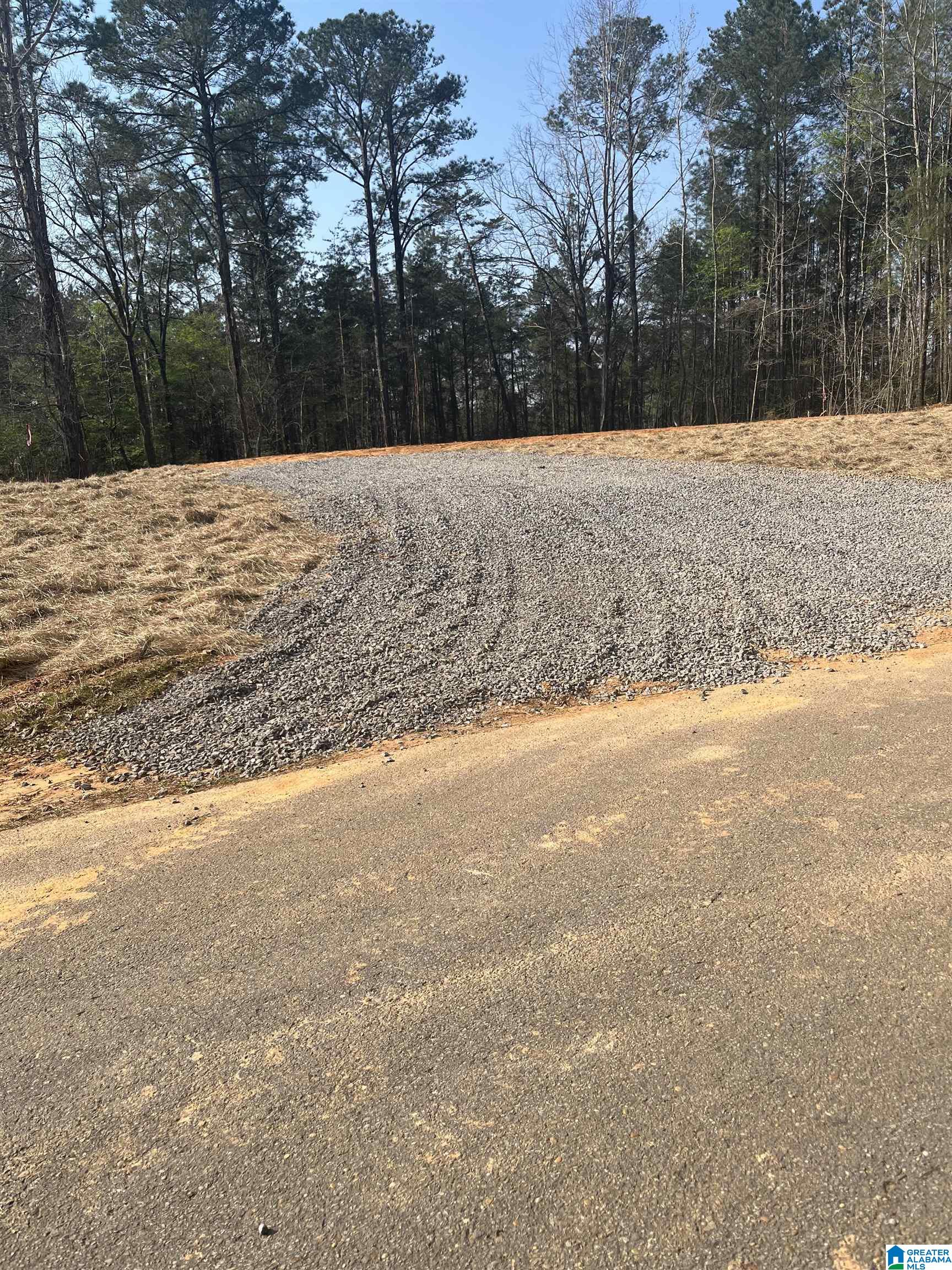 Photo 1 of 3 — 20233 MARK DRIVE 2, MCCALLA, AL 35111