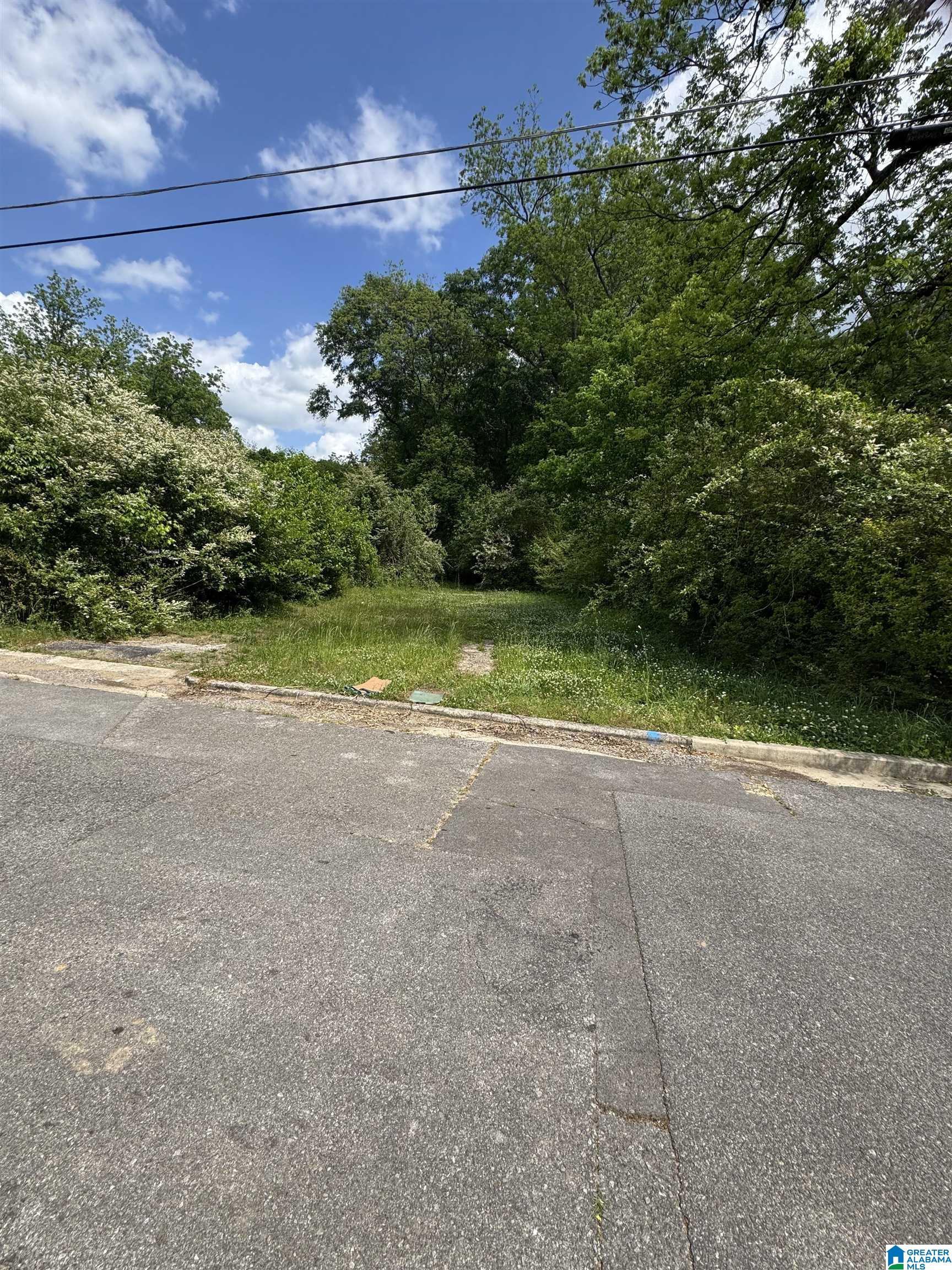 Photo 1 of 2 — 129 WILLIAMSON AVENUE 1, OXFORD, AL 36203