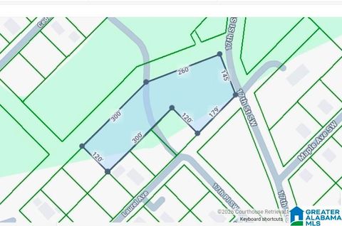 1705 HEMLOCK AVENUE SW 1 & 2 BIRMINGHAM AL 35211