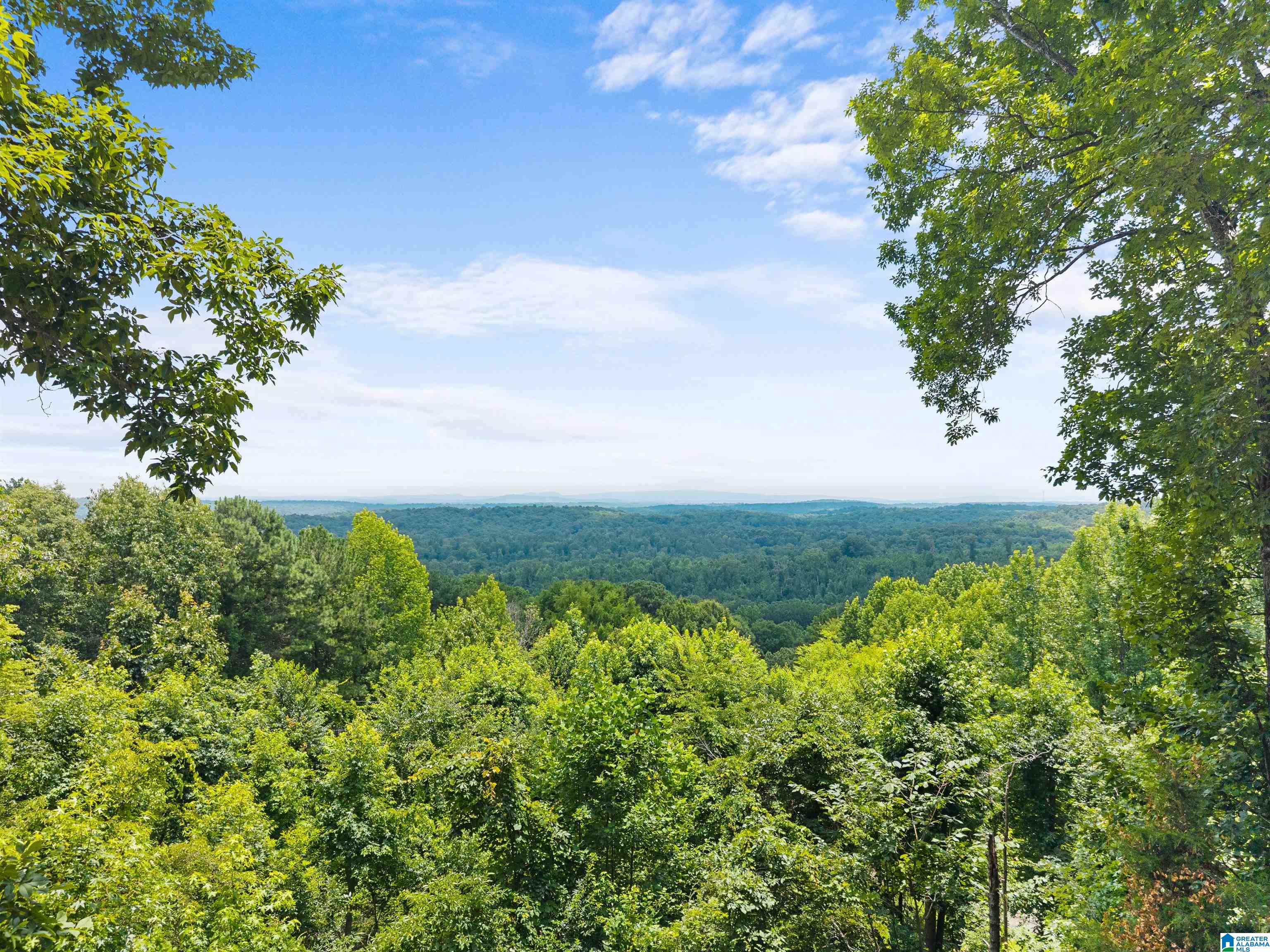 8829 OLD SPRINGVILLE ROAD