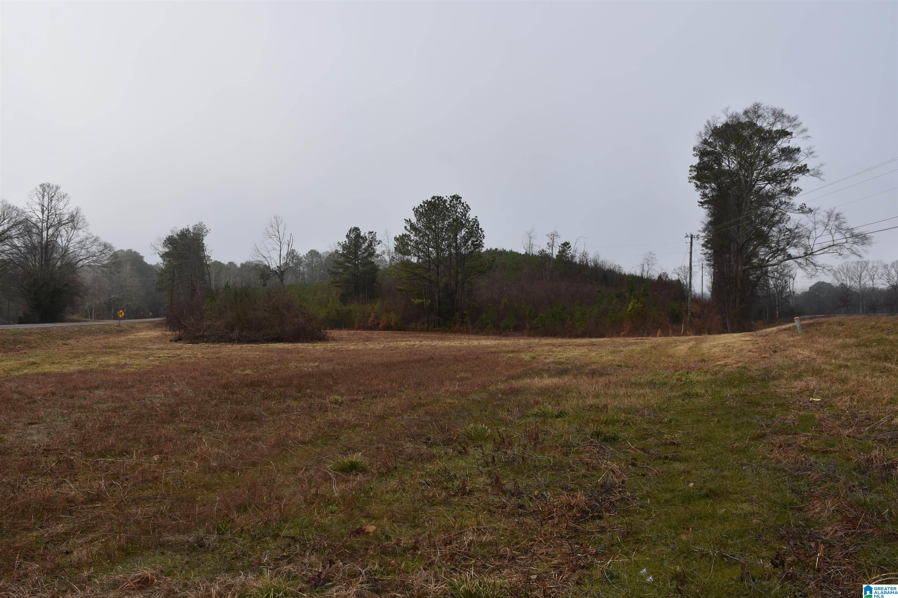 Photo 1 of 6 — RENFROE ROAD 0, TALLADEGA, AL 35160