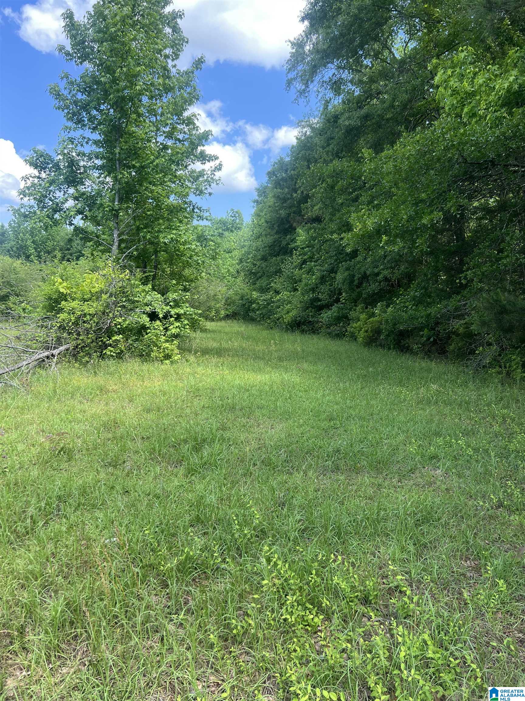 0 HOPEWELL DRIVE 0 - Photo 2