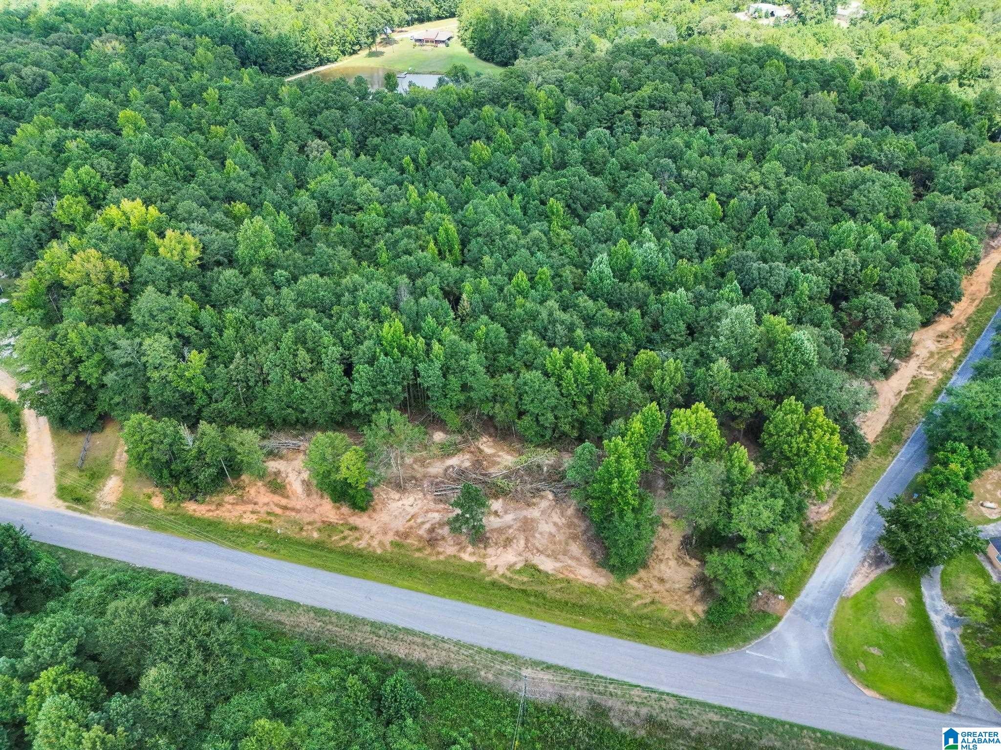 0 COUNTY ROAD 50 5 - Photo 2