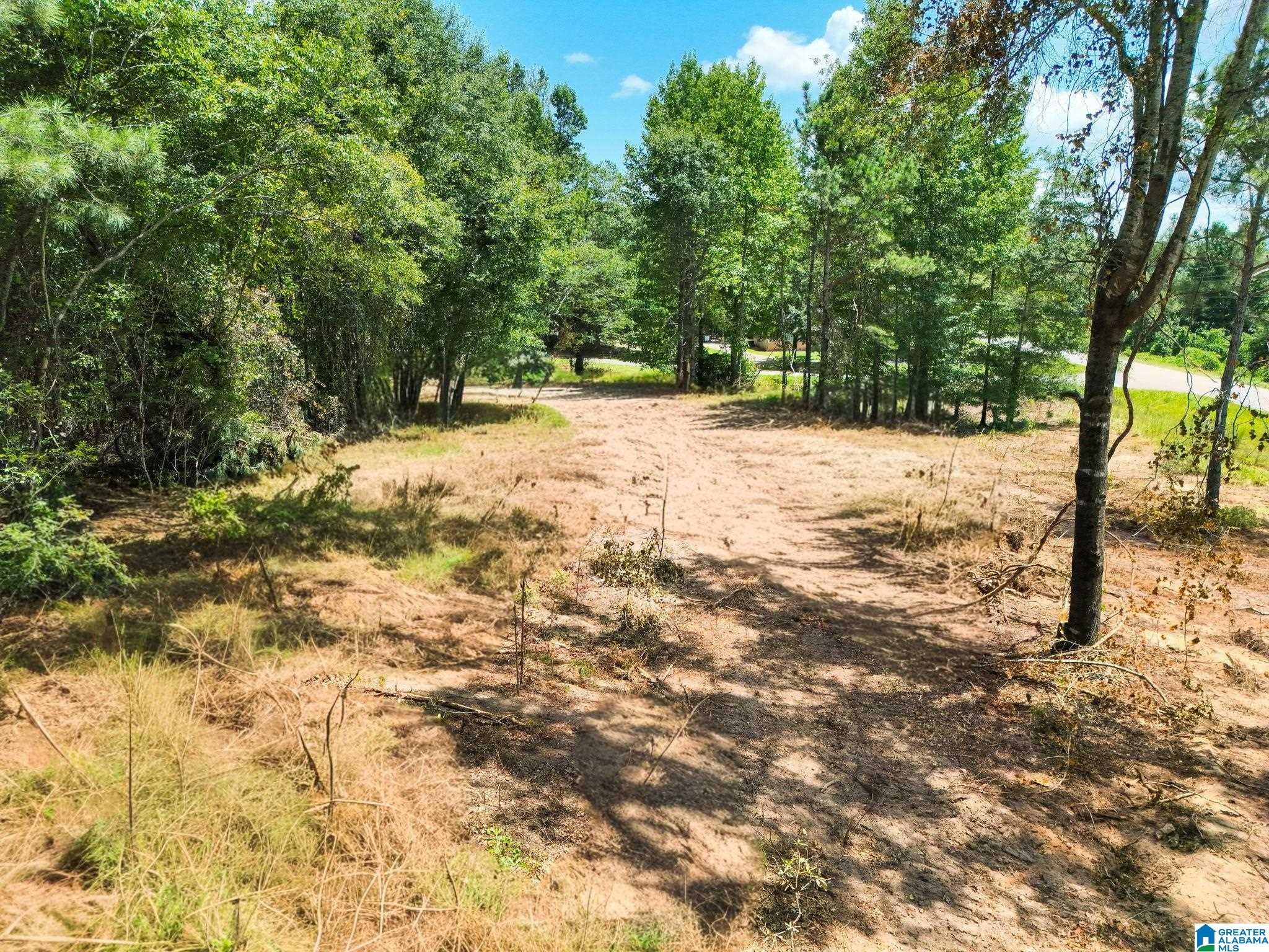 0 COUNTY ROAD 50 5 - Photo 4