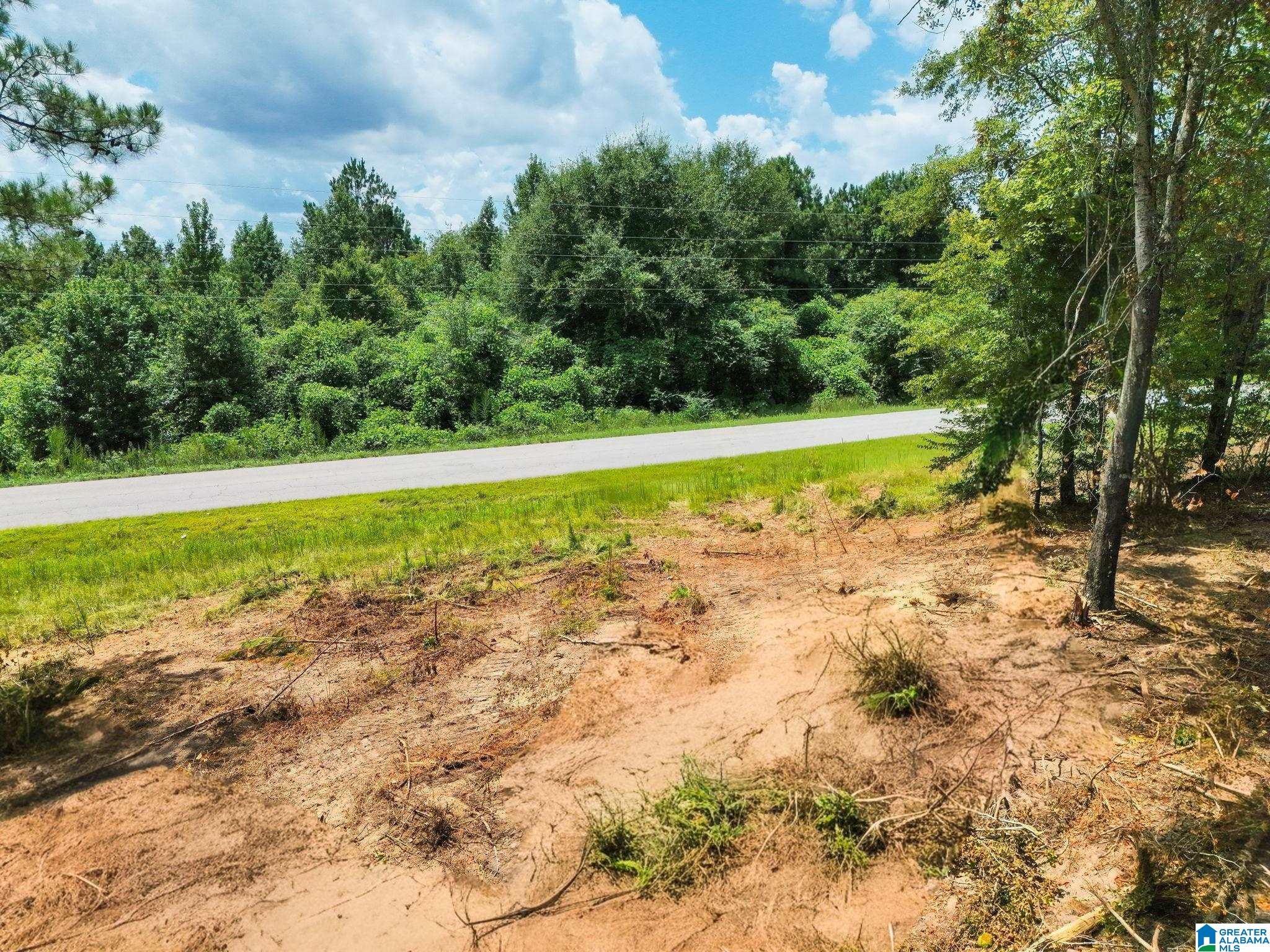 0 COUNTY ROAD 50 5 - Photo 3