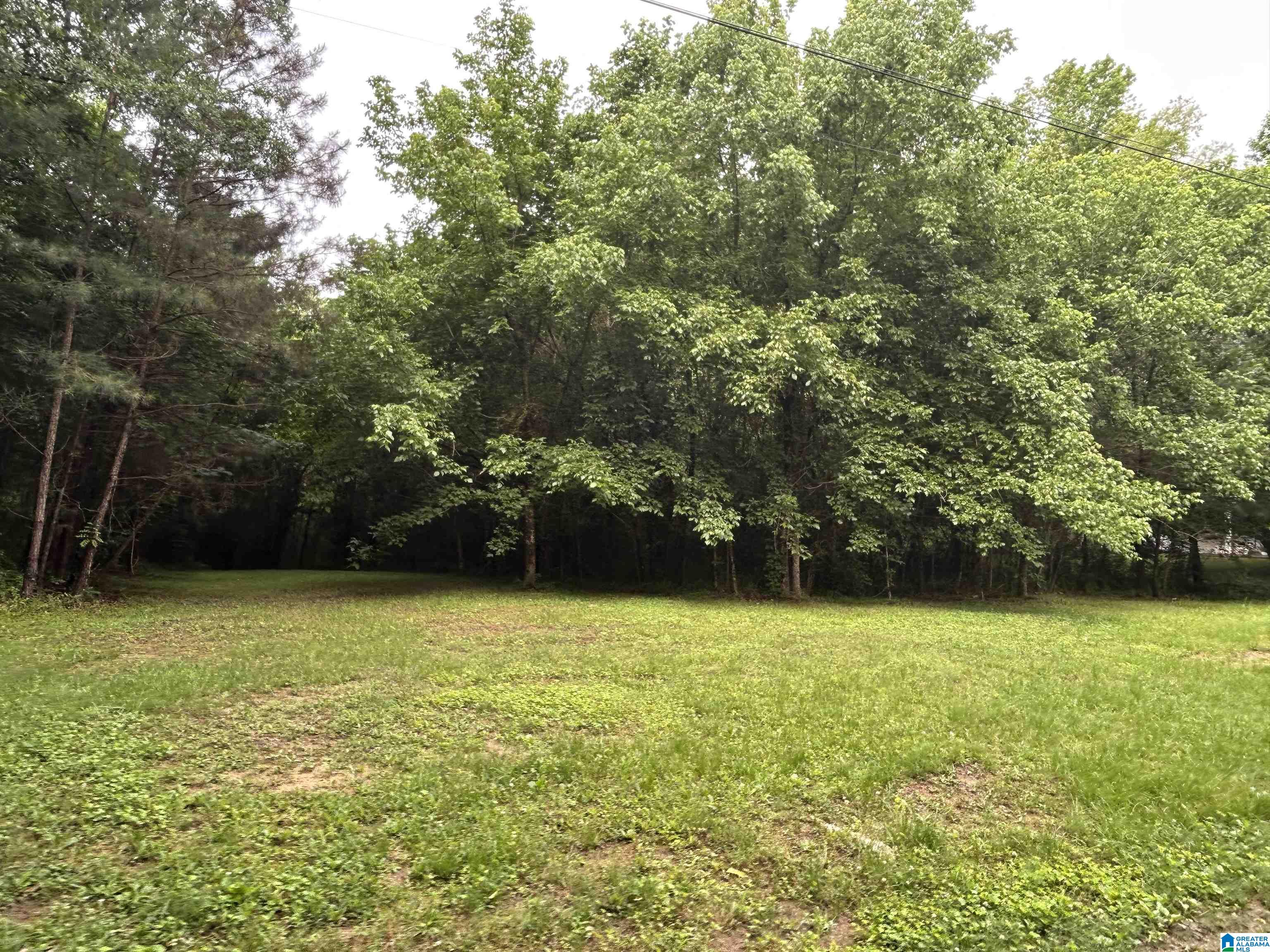 Photo 1 of 6 — 525 POPLAR LANE 1 Acre, HELENA, AL 35244