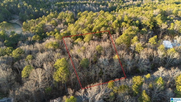 27 MOUNTAIN VIEW LN, WEST BLOCTON, AL 35184 - Image 76f1cbdca3fe35e64c7dbeb52b7189ae/3752224483