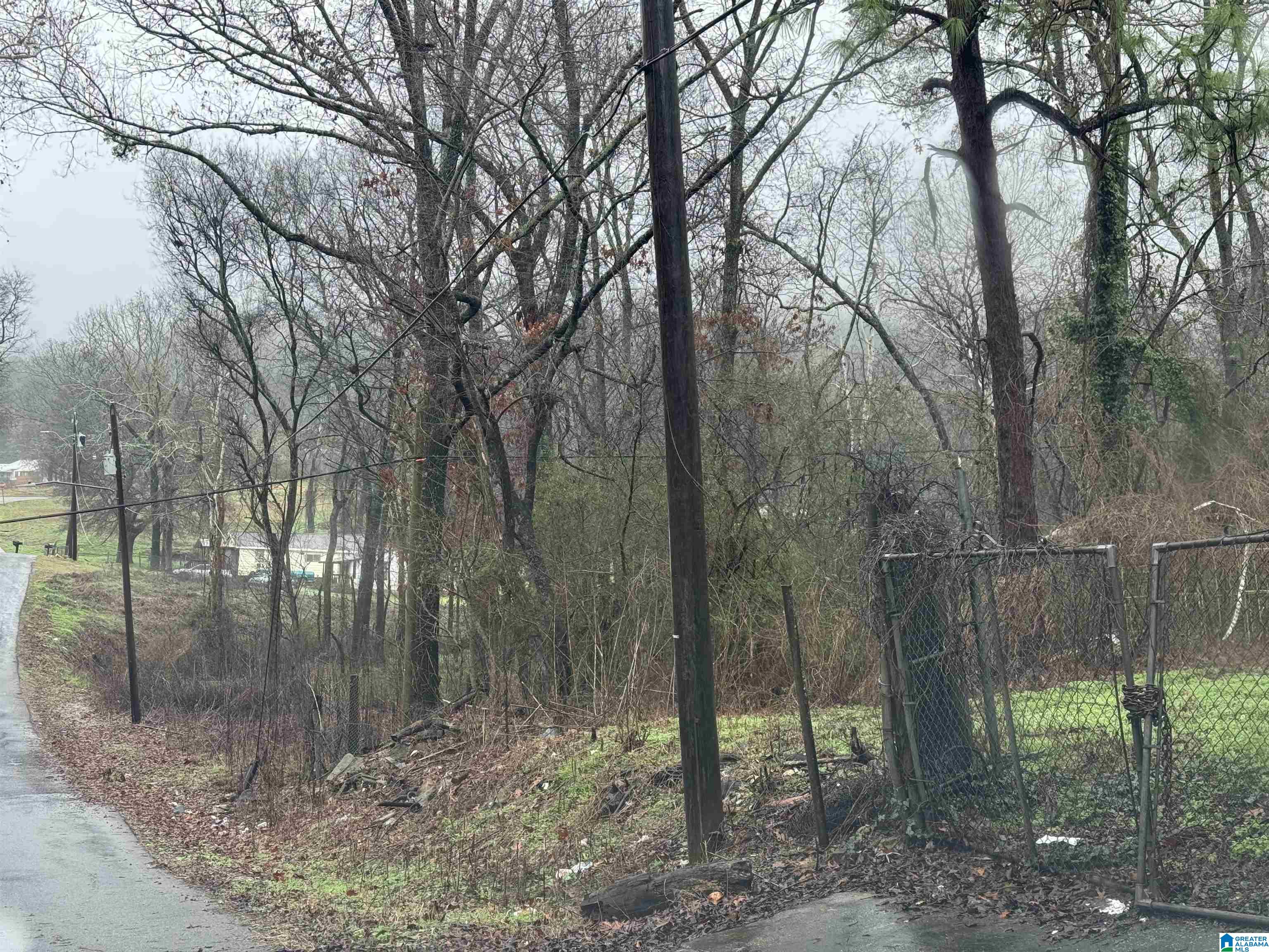 3515 CARVER AVENUE SW