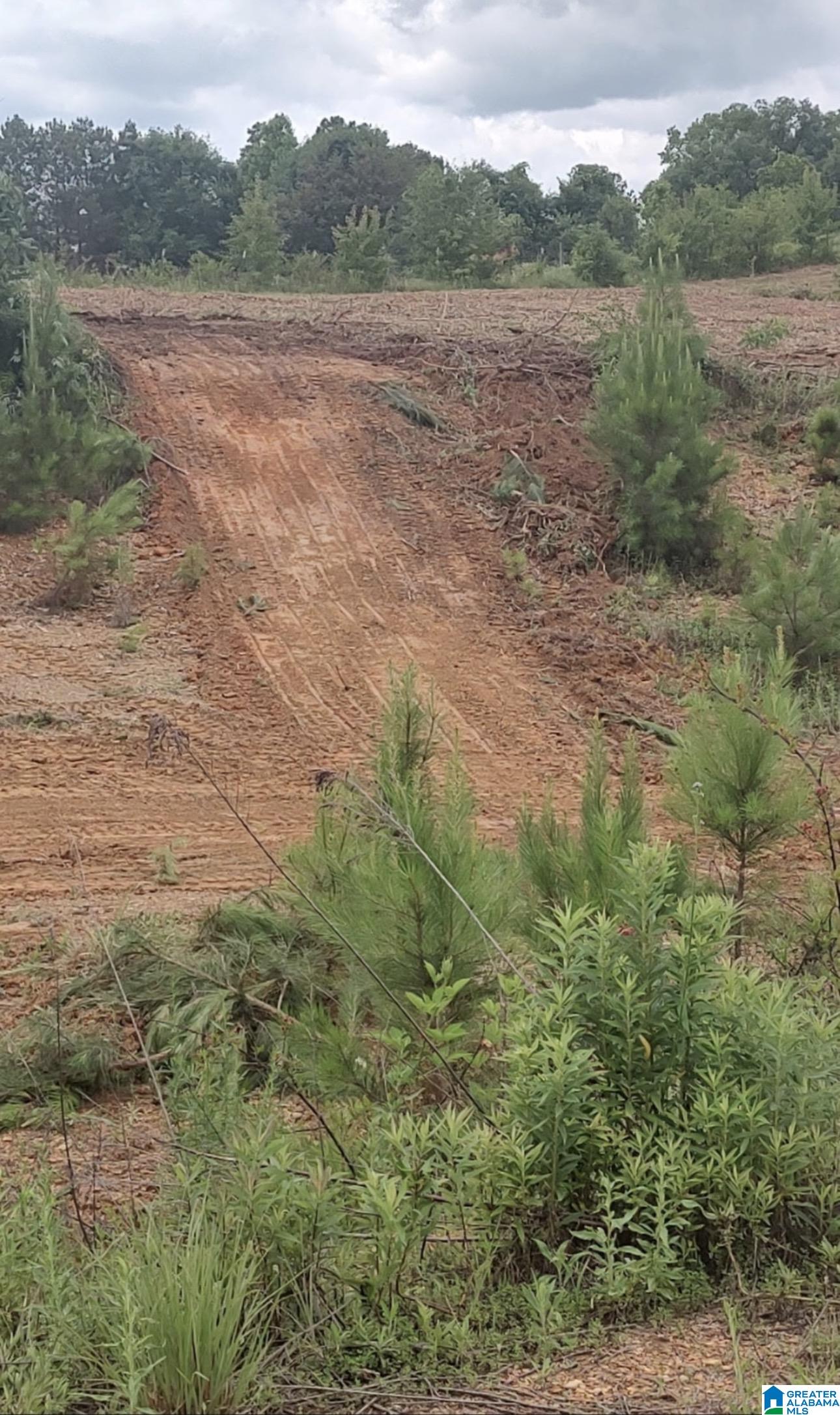 0 COUNTY HIGHWAY 13 0