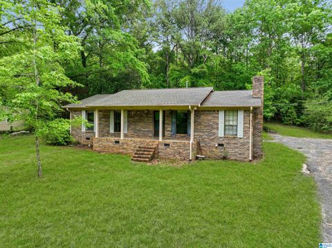 3384 N SCOTTSVILLE ROAD CENTREVILLE AL 35042