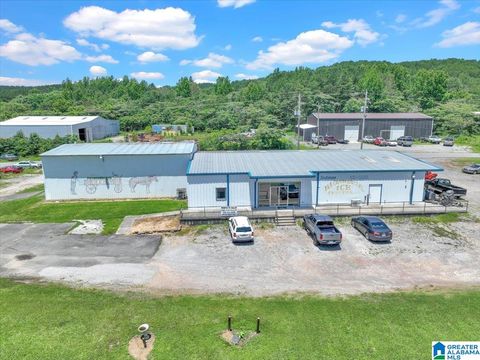 1788 HORSECREEK BOULEVARD DORA AL 35062