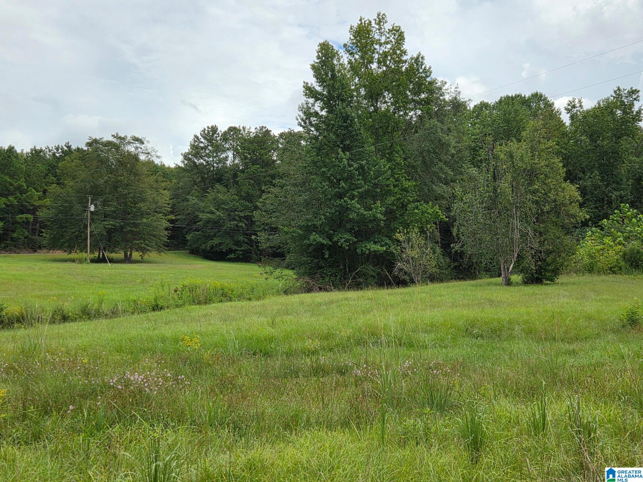 317 ROCKYVIEW ROAD 0