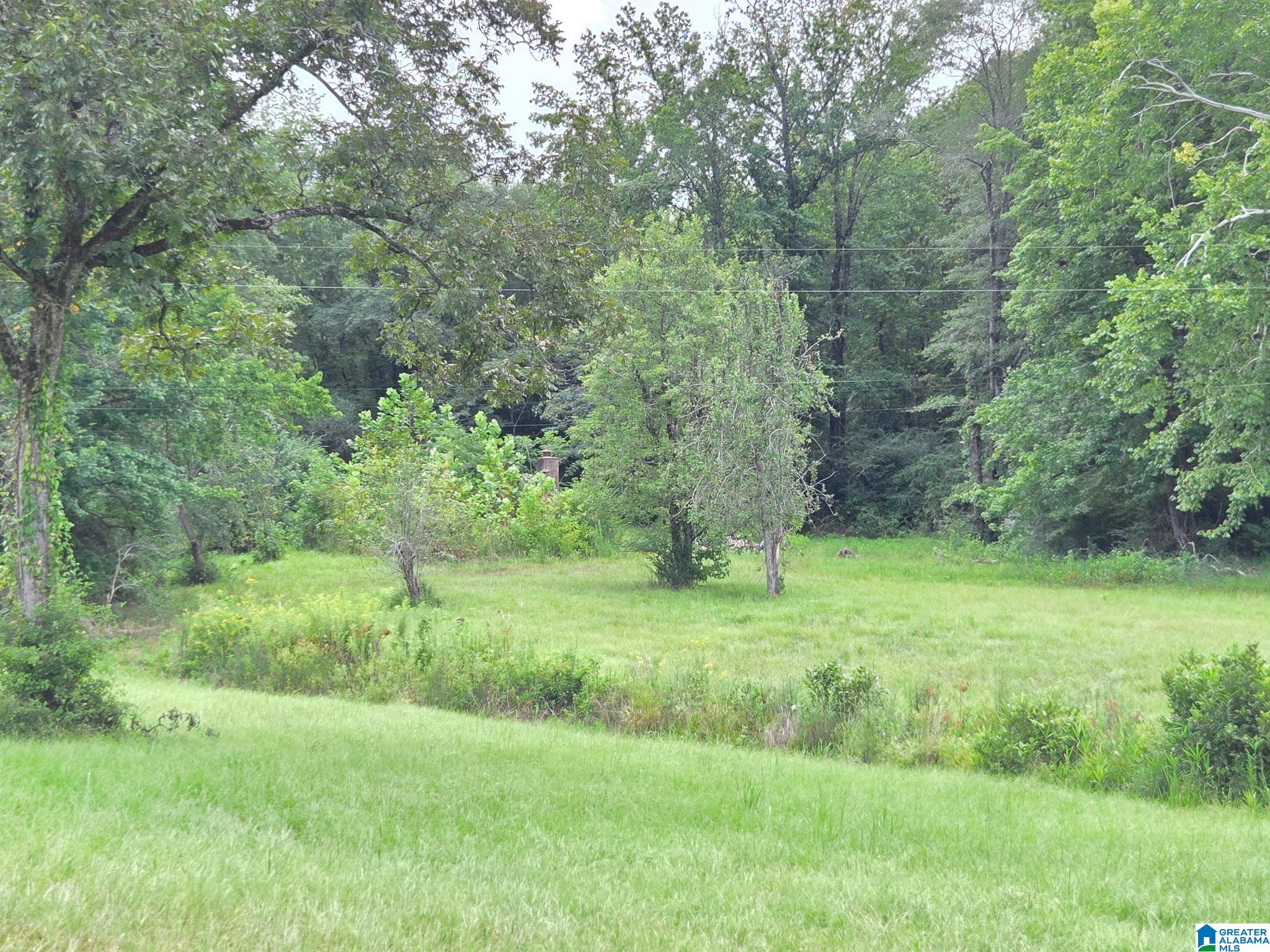 317 ROCKYVIEW ROAD 0