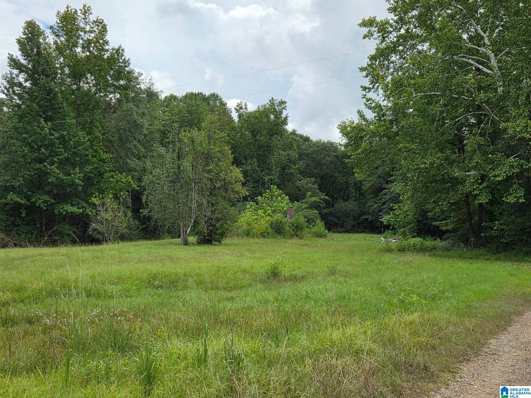 317 ROCKYVIEW ROAD 0