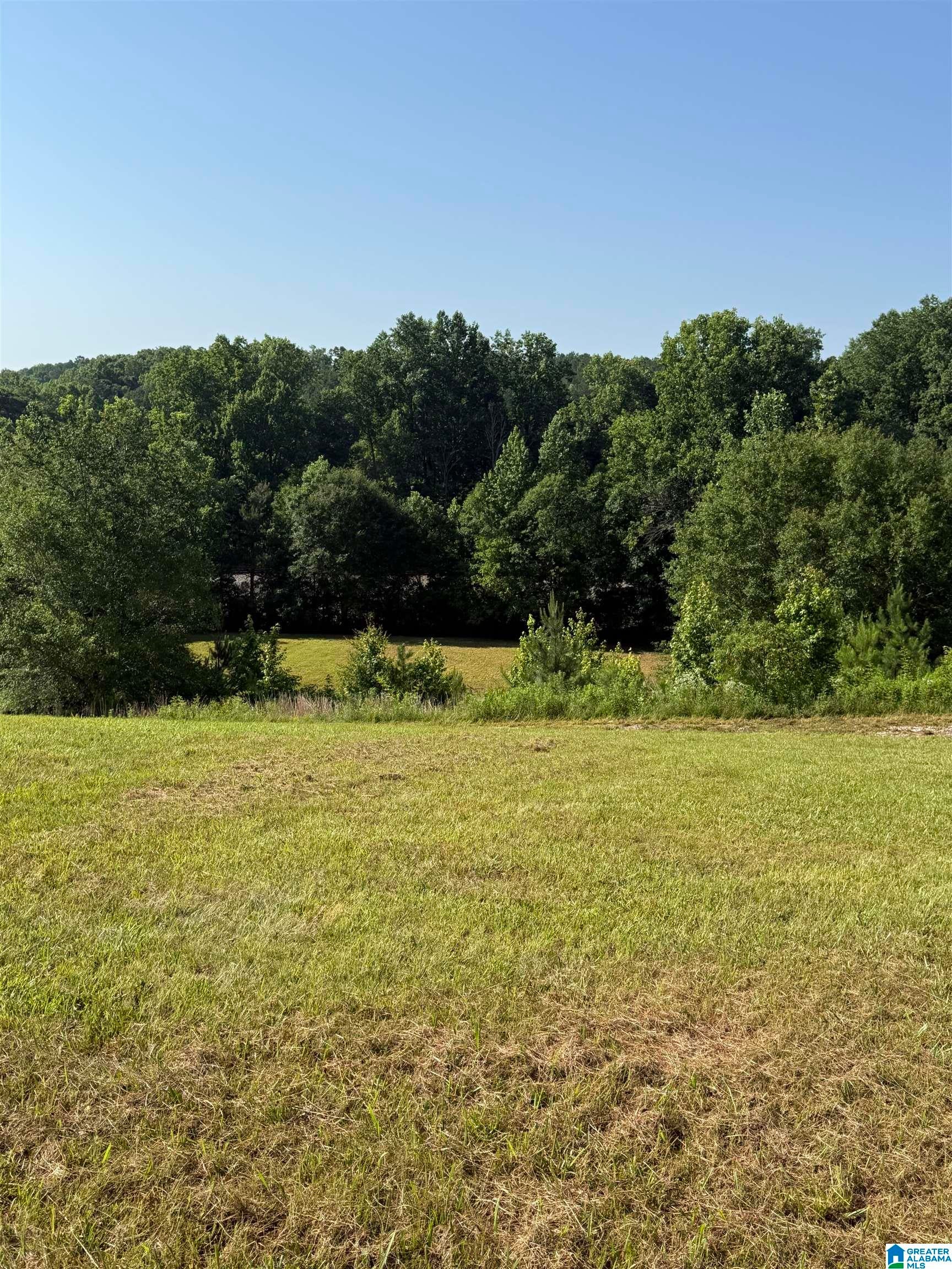 0 COUNTY ROAD 450 0