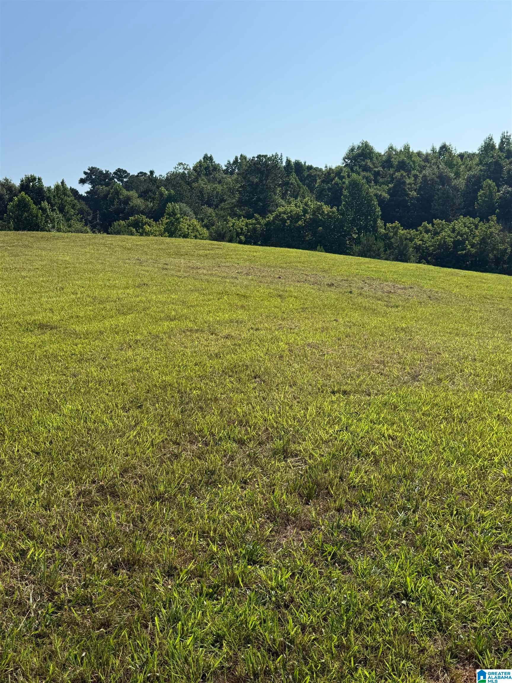 0 COUNTY ROAD 450 0